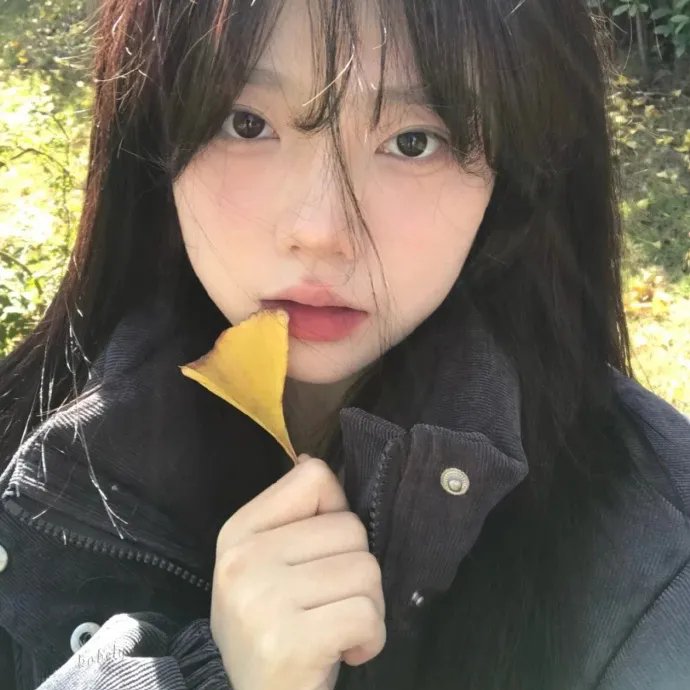 翩娜
